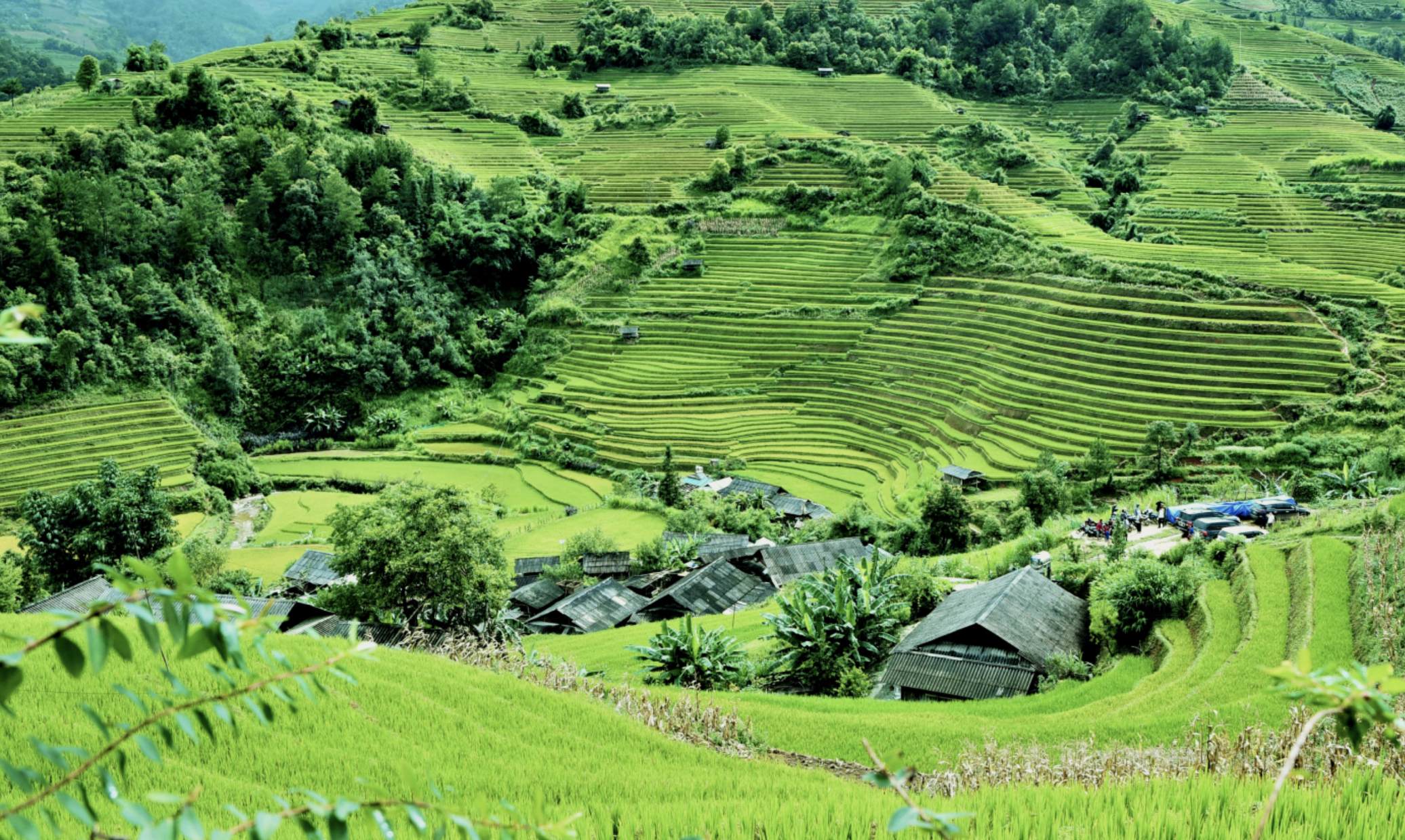 NÔNG NGHIỆP TUẦN HOÀN, MÔI TRƯỜNG BỀN VỮNG, VÀ CẢM HỨNG PHÁT TRIỂN